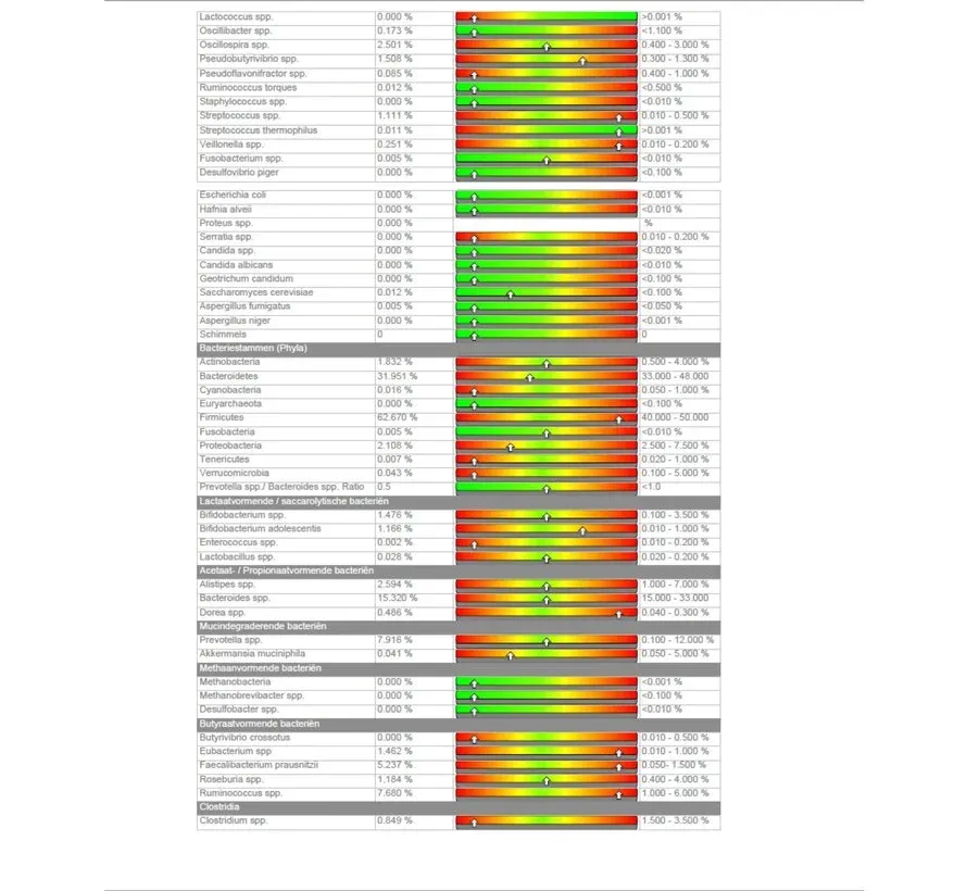 microbioom-darmflora-rp (1).webp