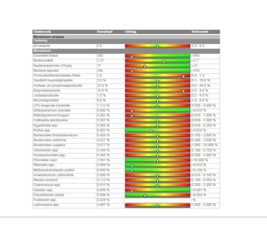 microbioom-darmflora-rp.webp